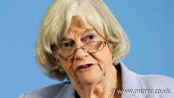 Ann Widdecombe murder probe: Suspect 'put wooden stick inside moss-covered car on day of ex-Tory MP's death'