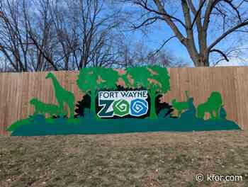 Wildebeest escape prompts evacuation at zoo in Indiana