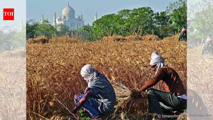 Statistics ministry flags serious gaps in agriculture data collection