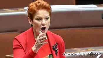 Support for Pauline Hanson plummets in shock new poll