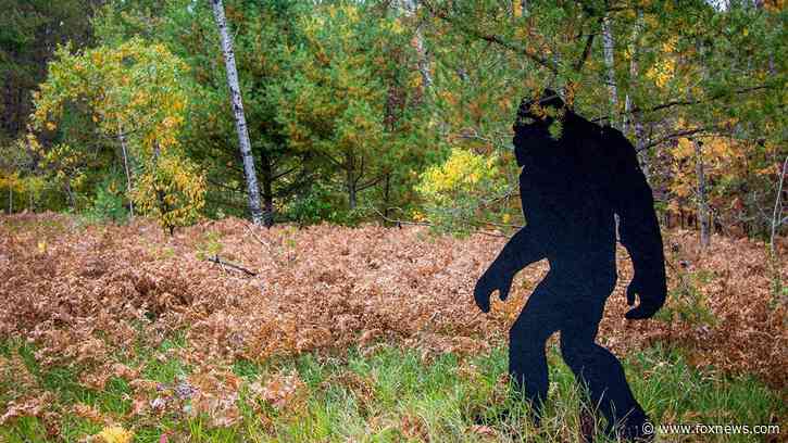 Dad and his kids think they've captured Bigfoot on video after spotting something in the woods