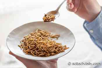 Why You Hate Eating Bugs: DNA Reveals a 9,000-Year-Old Legacy