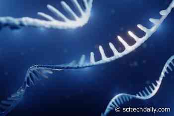 Strange “Chimeric” RNA Linked to Women’s Health and Wellness