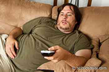 The Hidden Health Risk of Sitting for Hours Without a Break