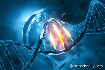 Scientists Catch a “Jumping Gene” Moving Between Species