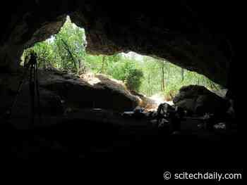Neanderthals Nearly Vanished 75,000 Years Ago – Then One Group Repopulated Europe