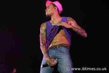 'I'm Not Married': Woman in Viral Chris Brown VIP Video Shuts Down Divorce Rumours