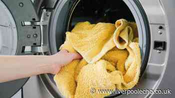 Towels will soften after 1 wash if soaked in 1 natural item for 15 minutes first