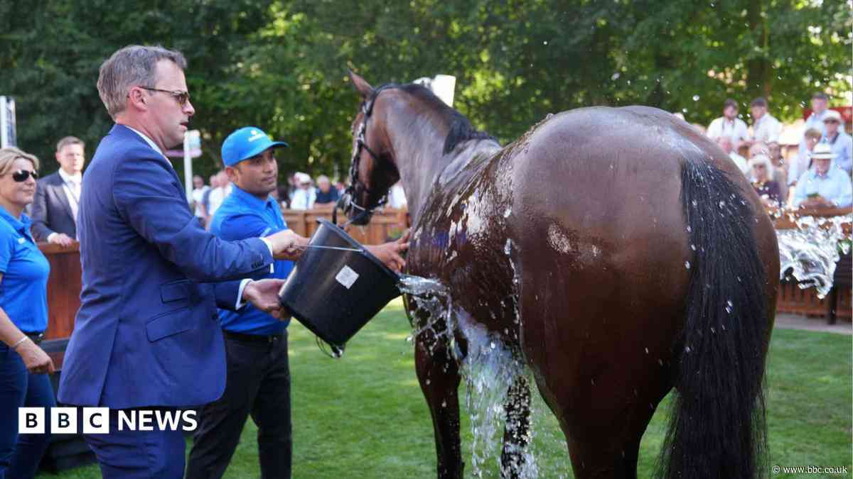 Horses kept cool during three-day race event