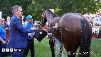 Horses kept cool during three-day race event