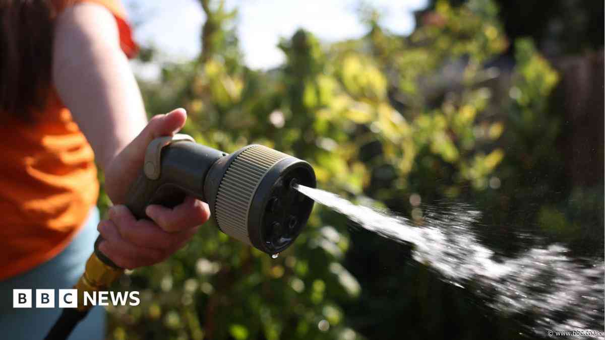 Anglian Water hosepipe ban for UK's driest region