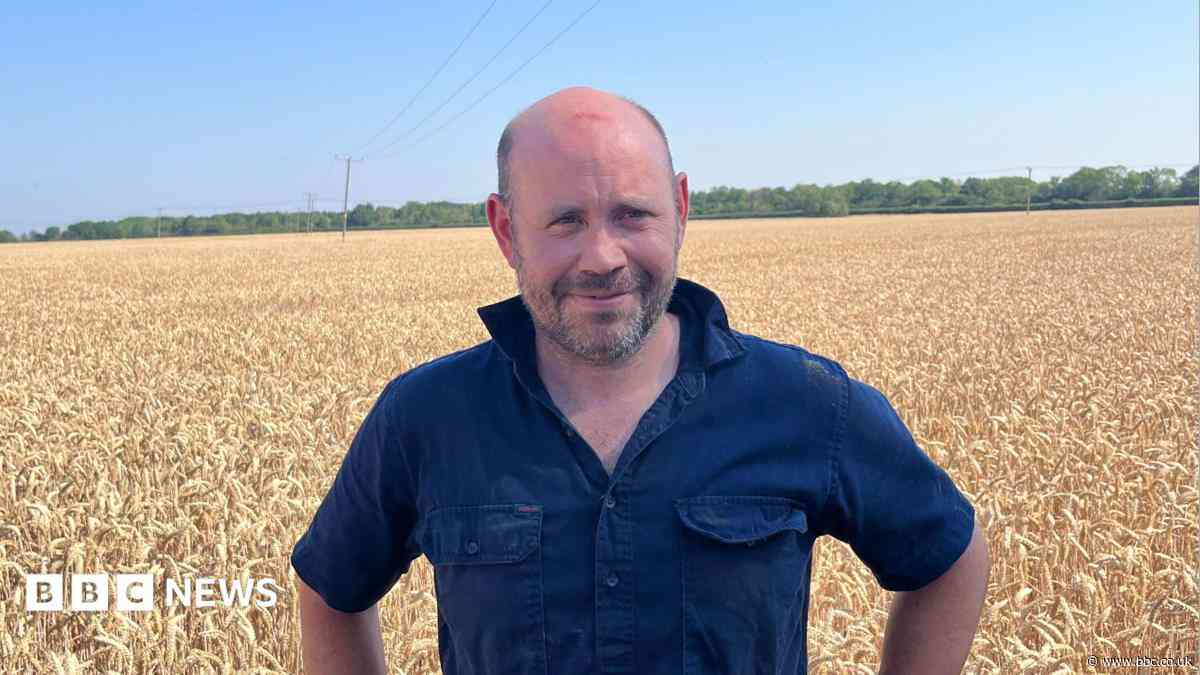 Harvesting is too dangerous during hot spell - farmer