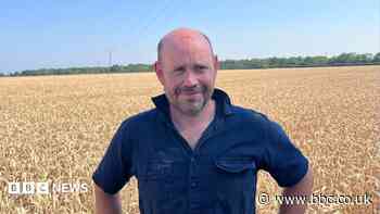 Harvesting is too dangerous during hot spell - farmer
