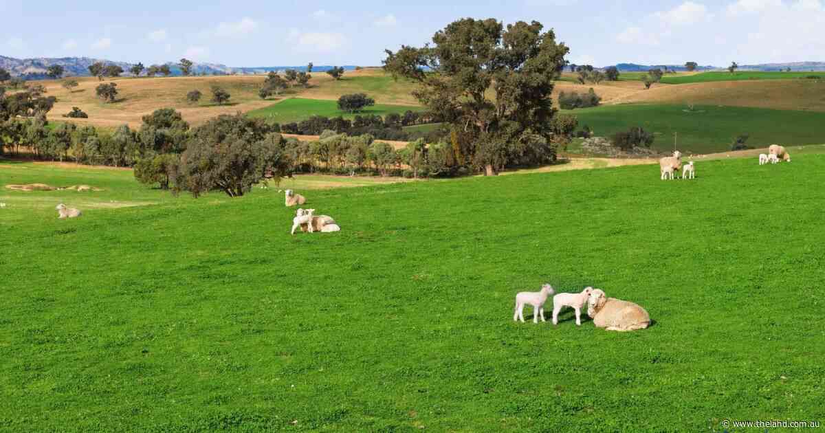 Productive mixed farming operation with quality infrastructure | Photos
