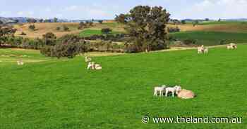 Productive mixed farming operation with quality infrastructure | Photos