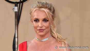 Britney Spears's ex-manager Sam Lutfi speaks out after singer's shock car roof stunt