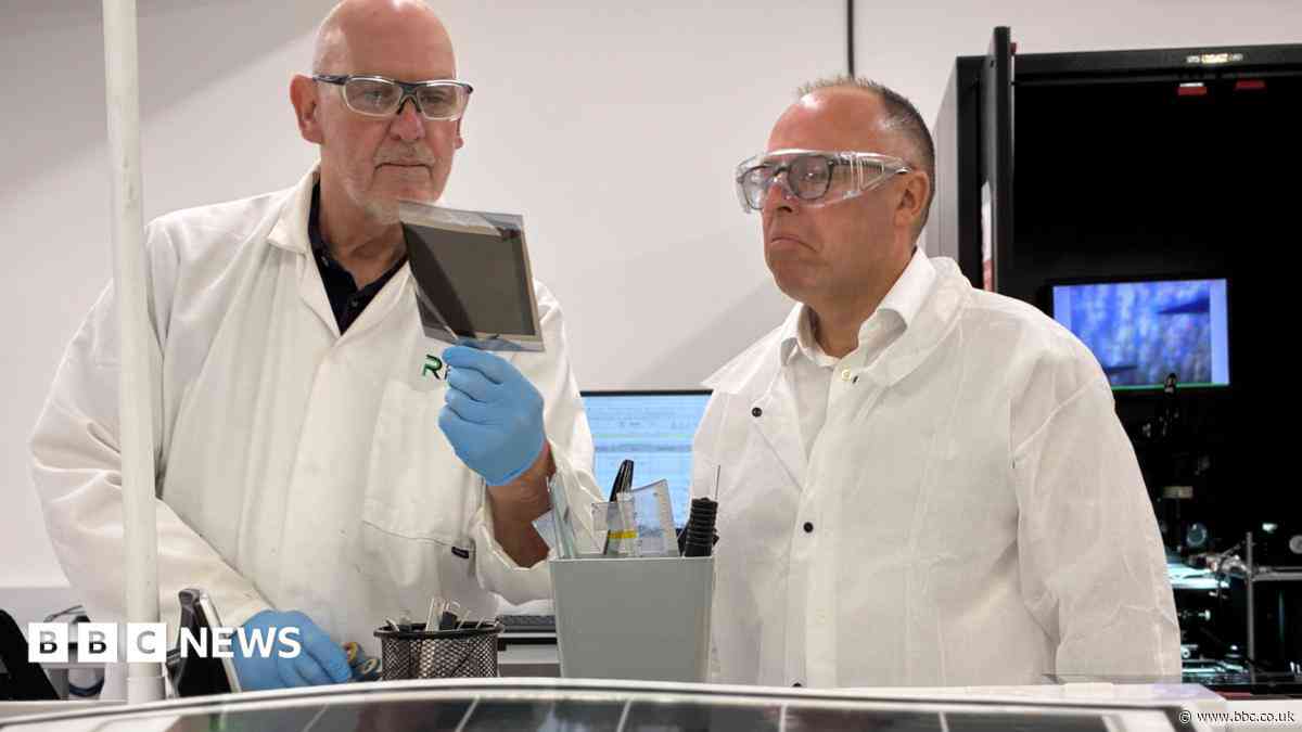 Solar panel firm calls for future policy certainty