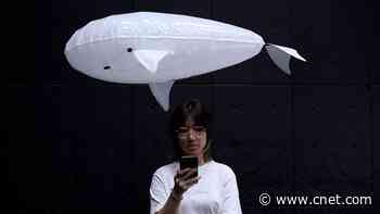 Meet the Floating Robot Companion Designed for Safe, Friendly Human Interaction