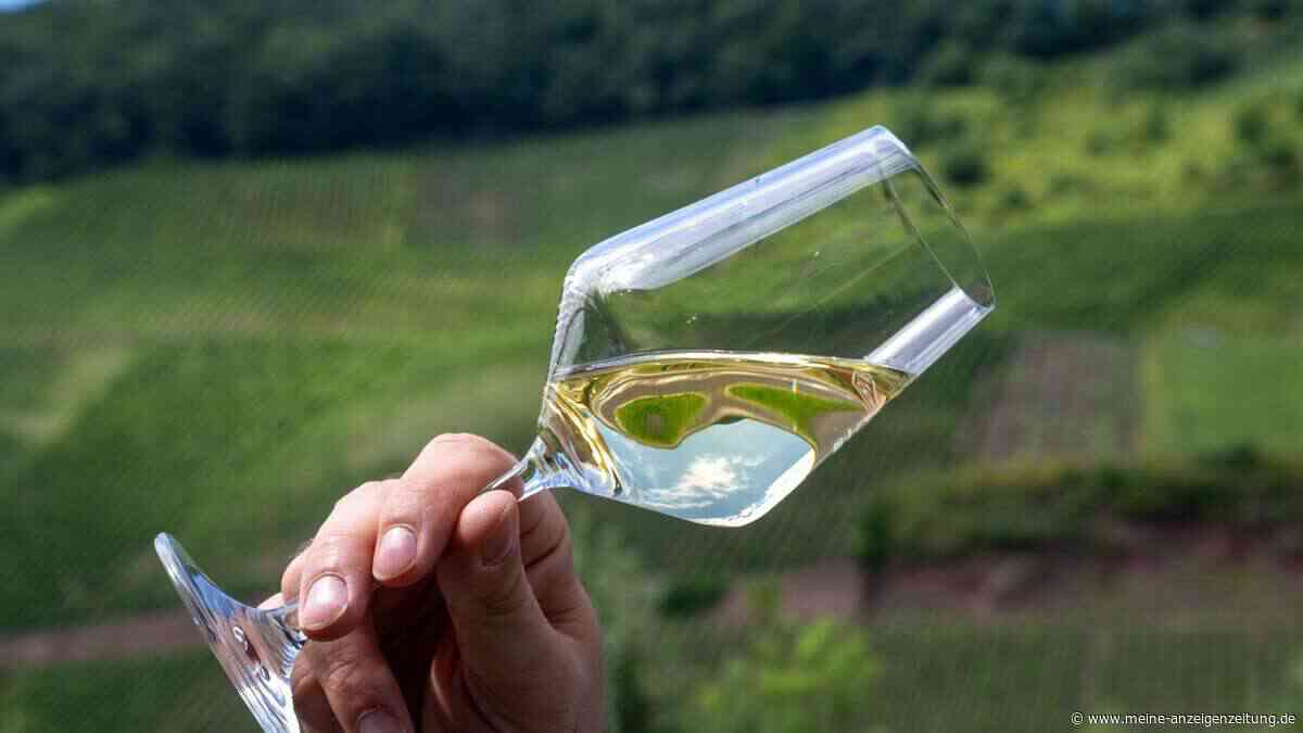 Trockene Weine im Trend