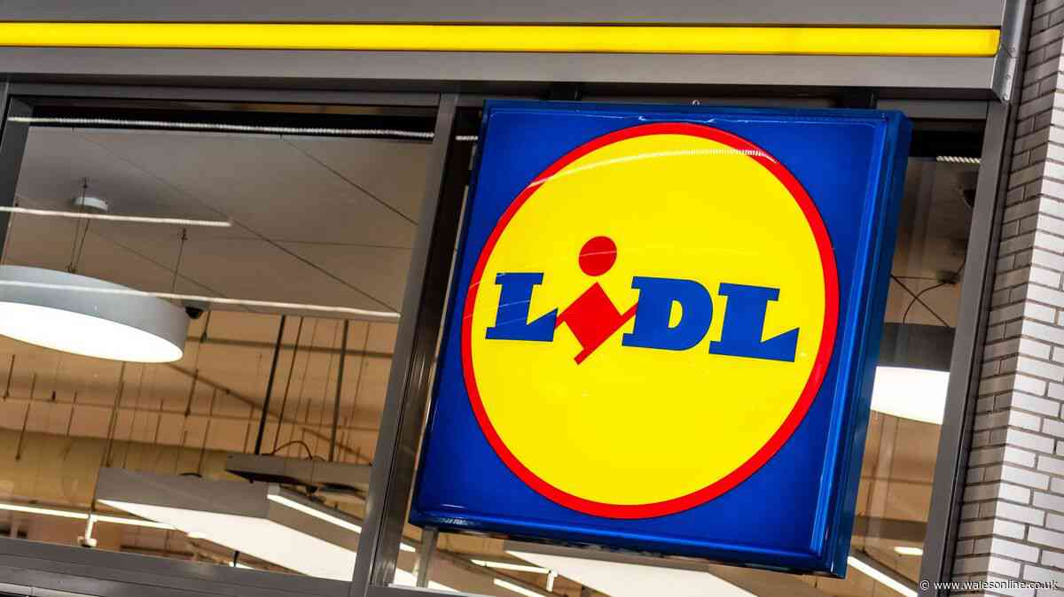 I shop at Sainsbury's and Asda — but always go to Lidl for one unrivalled item