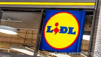 I shop at Sainsbury's and Asda — but always go to Lidl for one unrivalled item