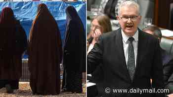 It's un-veil-lievable! ISIS bride Hodan Abby was allegedly a sharia law 'enforcer' in refugee camp - now she's free to fly home to Australia
