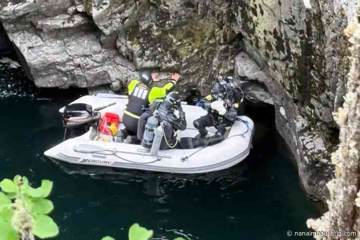 Search halted for woman swept over Stamp Falls near Port Alberni