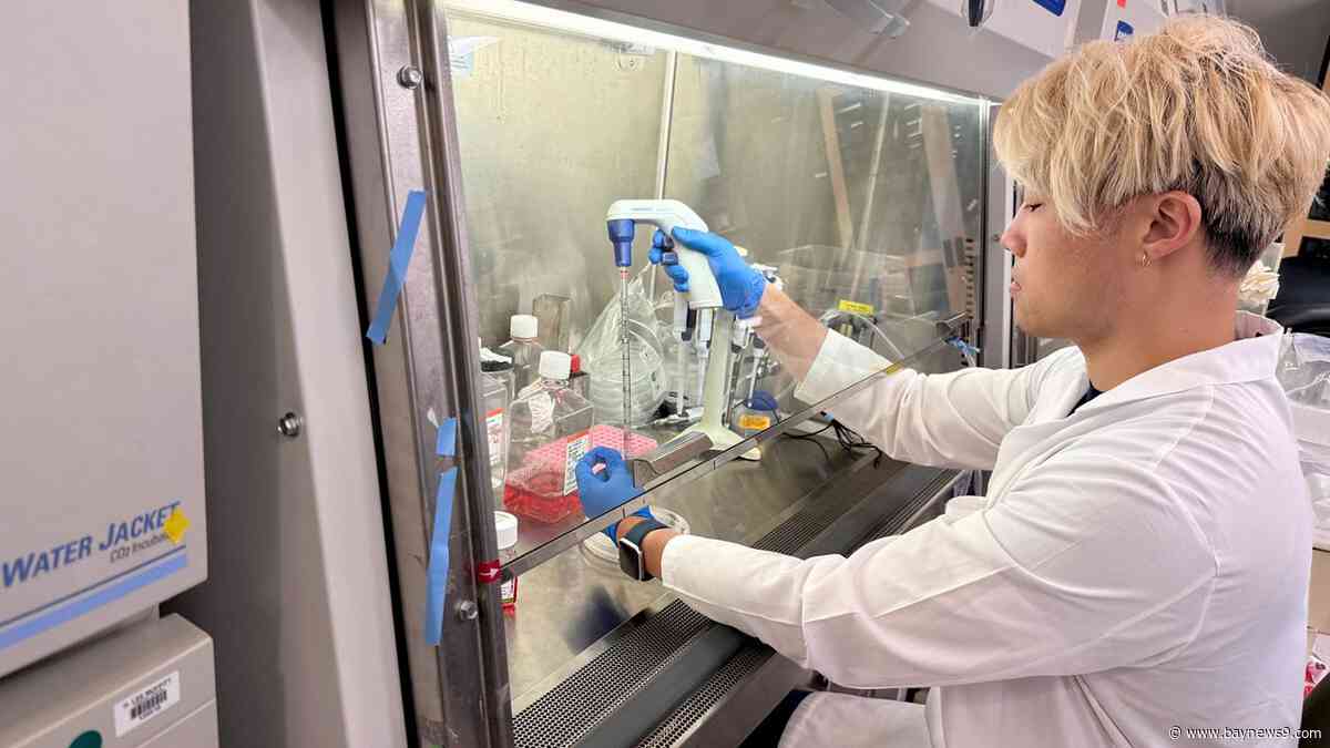Moffitt Dendritic Cell Trial brings hope for patients with cancer side effect