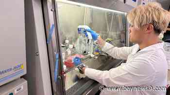Moffitt Dendritic Cell Trial brings hope for patients with cancer side effect