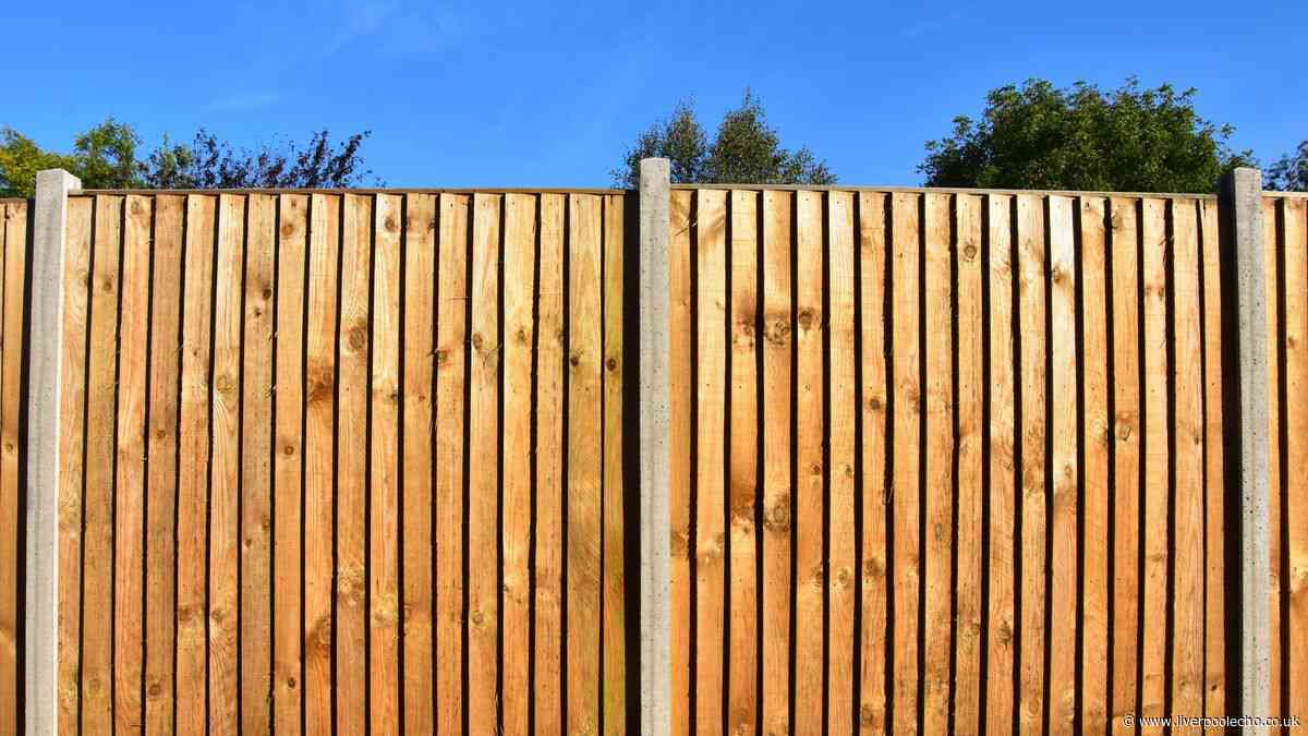 UK households urged to make holes in their fences before summer ends