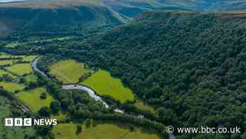 RSPB buys 'magical' 96-hectare landscape to reconnect habitats
