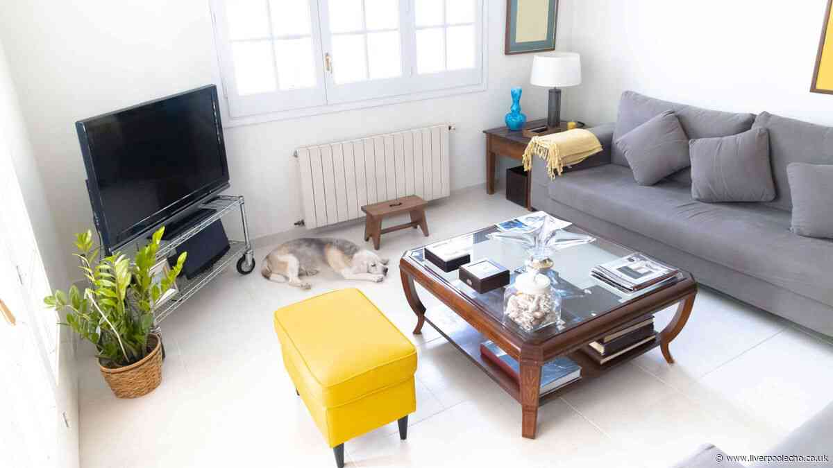 5 common colours to never paint rooms in your home to avoid your house looking cheap