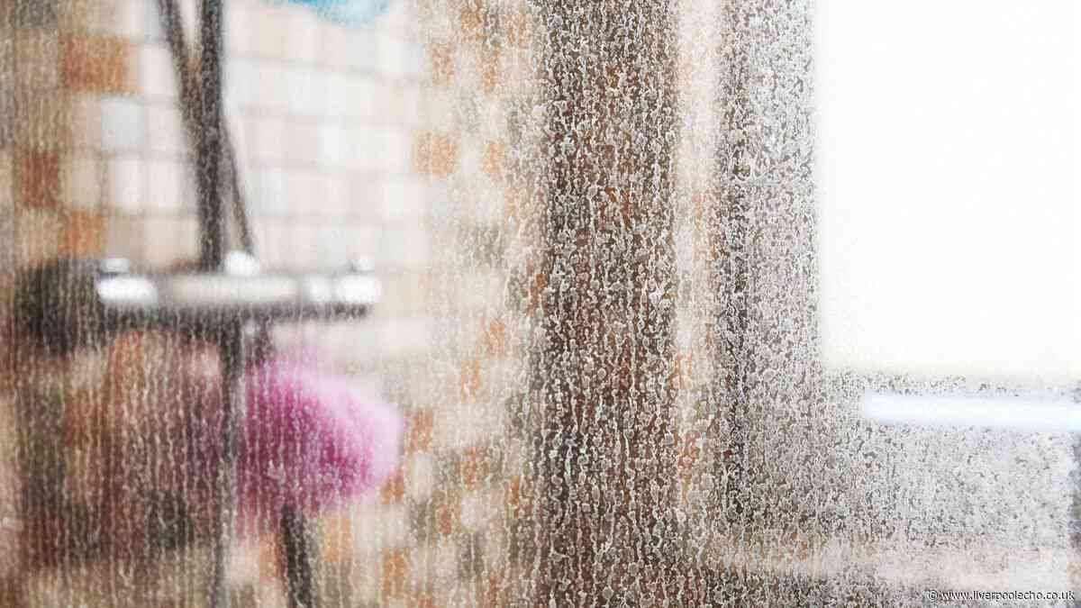 Limescale will wipe off shower screens in 20 minutes with cleaner’s 1 Home Bargains item