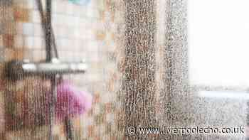 Limescale will wipe off shower screens in 20 minutes with cleaner’s 1 Home Bargains item