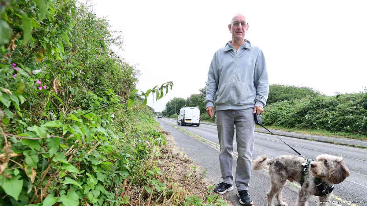 Sefton's overgrown pathways 'virtually impassable' for many