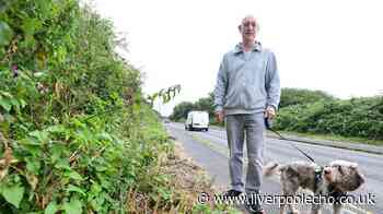 Sefton's overgrown pathways 'virtually impassable' for many