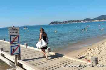 « On avance par élimination, hypothèse par hypothèse » : sur cette plage près de Saint-Tropez, les analyses s’intensifient après les interdictions de baignade répétitives