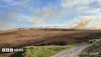 'It takes one barbecue to start a massive moor fire'