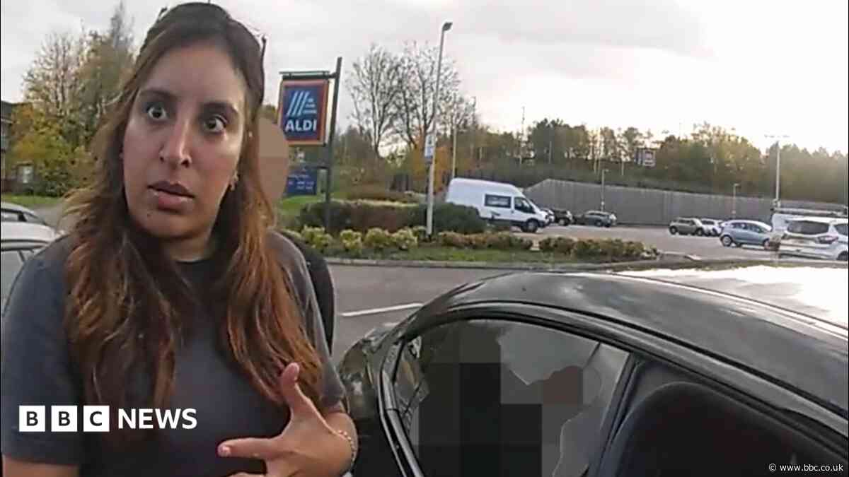 The 'magpie-like' thief who posed as a house sitter