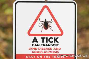 Lyme disease isn't the only tick-borne illness. Anaplasmosis is on the rise: doctors