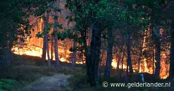 ‘Uitzonderlijk’ grote brand in het bos van Fontainebleau, in de buurt van Parijs