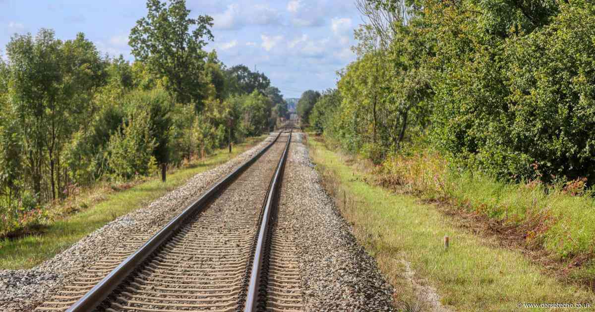 Proposal to restore Dorset branch line as a freight route