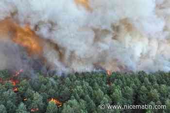 « La boule au ventre » : l’incendie en forêt de Fontainebleau toujours actif, les habitants appelés à évacuer
