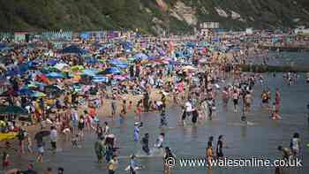 UK heatwaves have killed more than 2,700 people so far this year