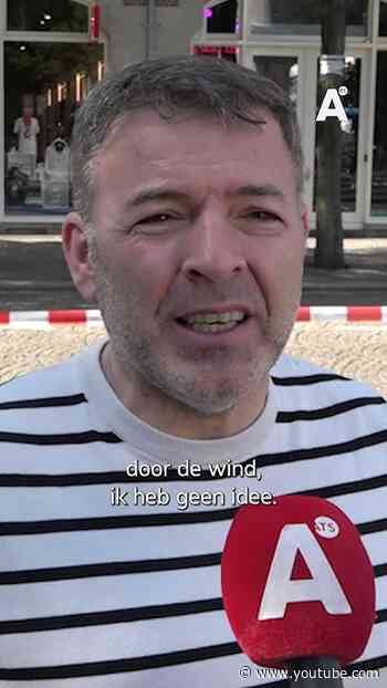 Omgevallen boom op de Dam