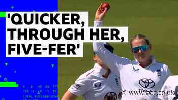 Success by spin - Ecclestone puts herself on Lord's honours board