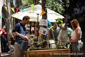 Comment ces habitants jardinent dans leur quartier à Toulon et l’embellissent grâce au permis de végétaliser