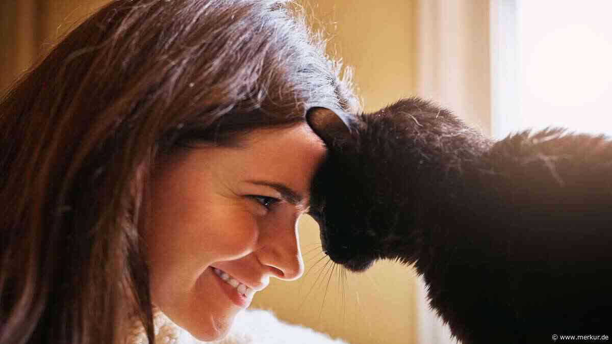 Ihre Katze liebt Sie nicht – zumindest nicht so, wie Sie denken, sagt Expertin