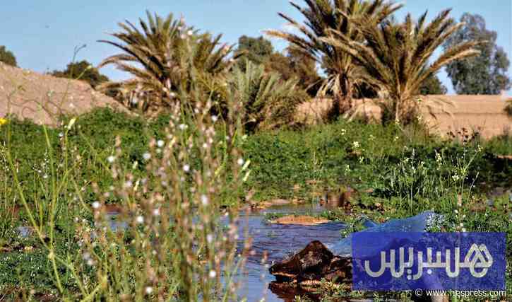 توقعات طقس اليوم الاثنين في المغرب
