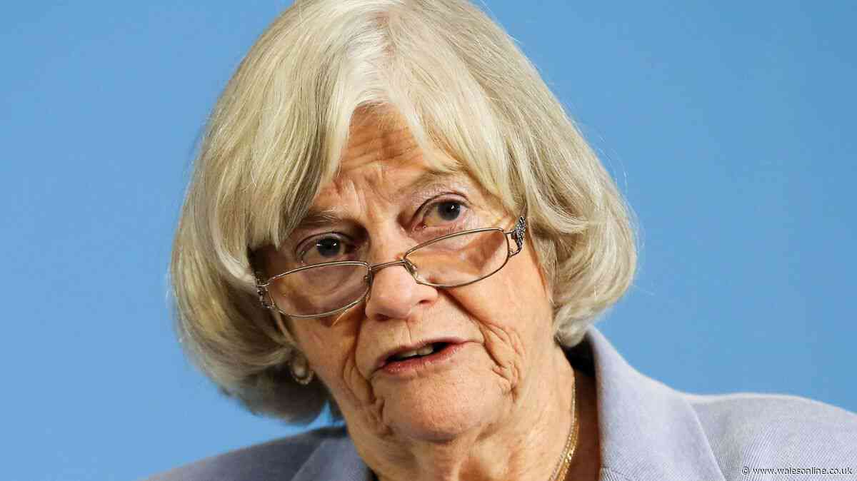 Suspicious man with 'wooden stick' seen at home 'linked to Ann Widdecombe suspect'
